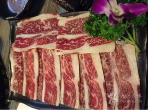 猪兜图片,探寻猪的世界，解锁动物奥秘