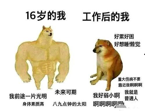 医院搞笑梗,医院里的欢乐时光