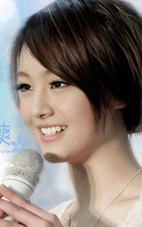 郑爽明星主题,星光璀璨的青春偶像之路