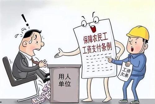 网红现象说明了什么,社会文化变迁的缩影与启示